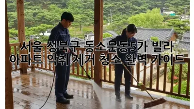 서울 성북구 동소문동5가 빌라, 아파트 악취 제거 청소 완벽 가이드