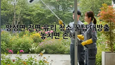 🤩 앙성면 전면 유리 청소✨ 꿀팁 대방출! 놓치면 손해!